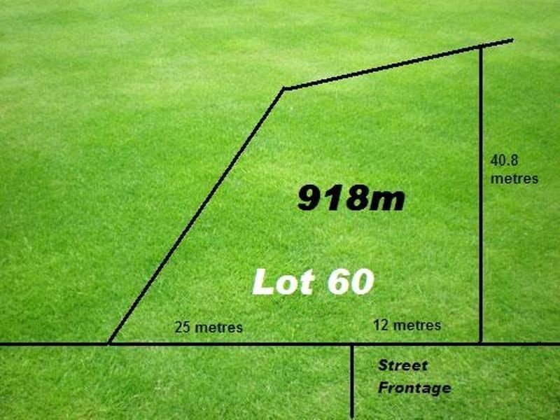 46 Pademelon Circuit, North Lakes QLD 4509