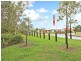 17 Bilby Drive, Morayfield QLD 4506