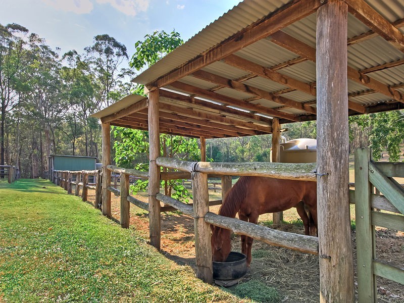 450 McConnell Road, Bracalba, Wamuran QLD 4512