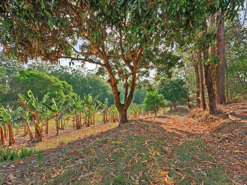 450 McConnell Road, Bracalba, Wamuran QLD 4512