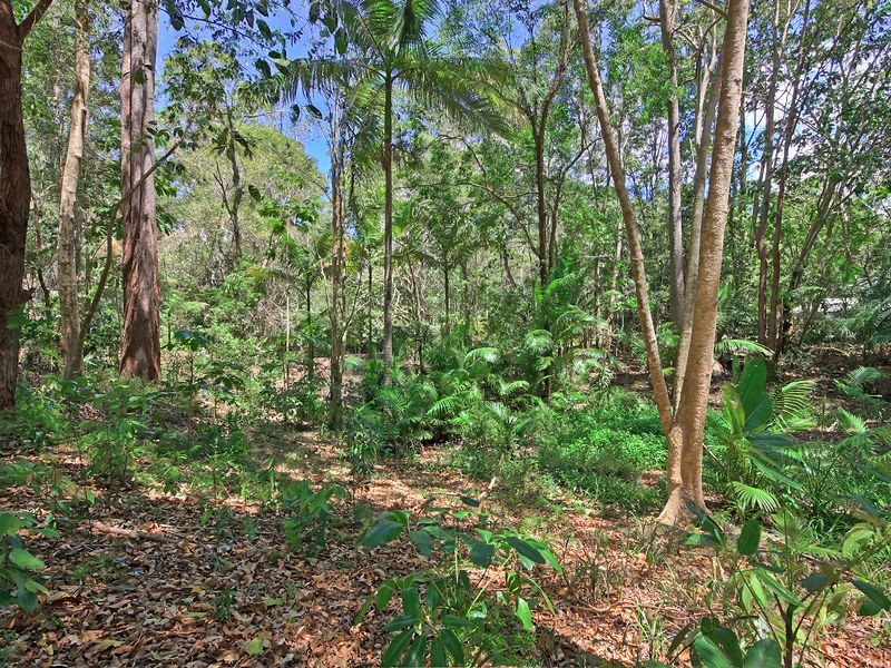 25 Woodwood Road, Landsborough QLD 4550