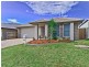 19 Williams Crescent, North Lakes QLD 4509
