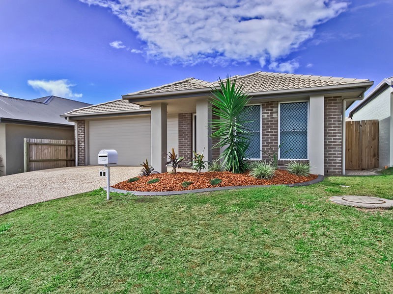 19 Williams Crescent, North Lakes QLD 4509