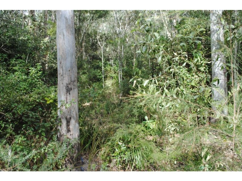 North Lakes QLD 4509