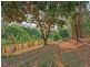 450 McConnell Road, Bracalba, Wamuran QLD 4512
