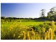 34 Pademelon Circle, North Lakes QLD 4509