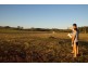 Lot 49 Kildare Crescent, Rockyview QLD 4701