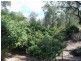 166 Emmerson Drive, Glenlee QLD 4711