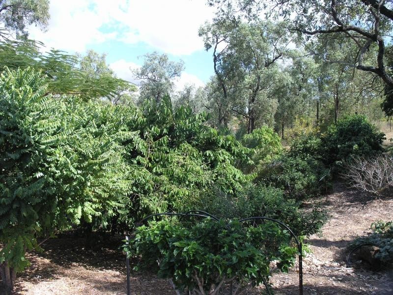 166 Emmerson Drive, Glenlee QLD 4711