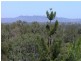 Lot 14 17 Bowen Terrace, The Range QLD 4700