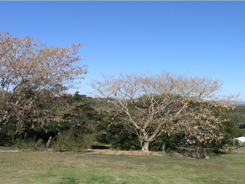 Lot 14 17 Bowen Terrace, The Range QLD 4700