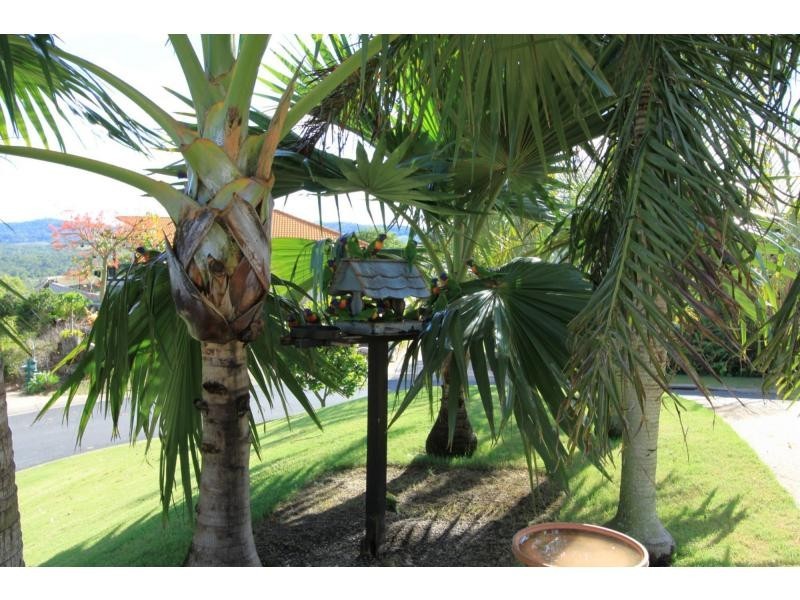 24 Banksia Place, Taranganba QLD 4703