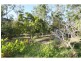 554 Coorooman Creek Road, Cawarral QLD 4702