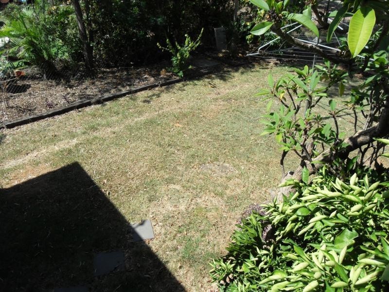 19 Hardacre Street, Wandal QLD 4700