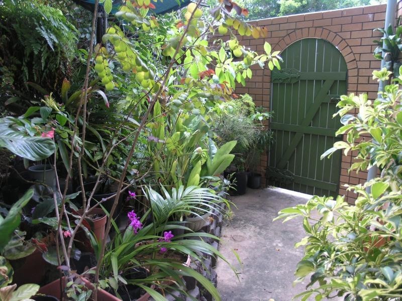 12 Bauhinia Terrace, The Range QLD 4700