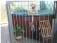 15 Jeffries Street, The Range QLD 4700