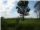 1318 Ridgelands Road, Alton Downs, Alton Downs QLD 4702