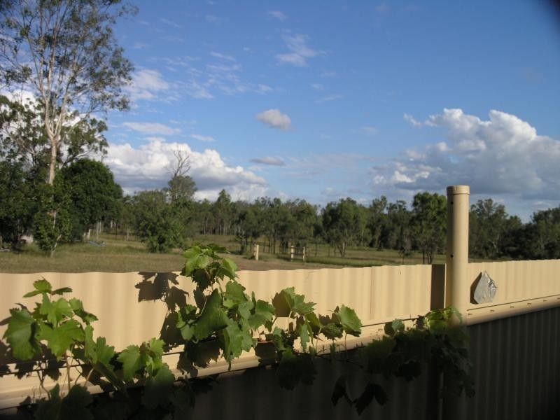 2489 Stanwell – Waroula Road, Ridgelands QLD 4702