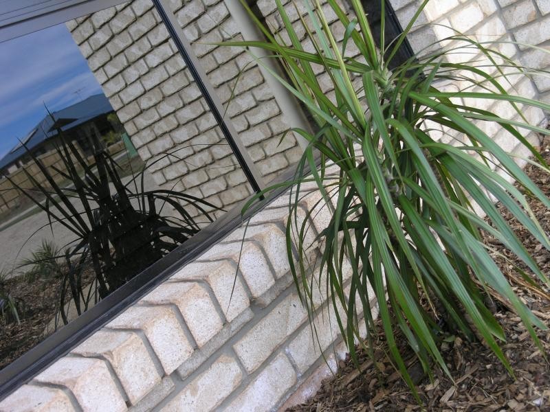 7 Mamalis Street, Gracemere QLD 4702