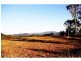 50 Clinton Road, Cawarral QLD 4702