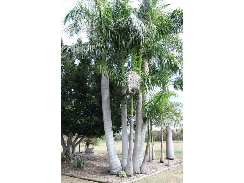 26 Glendale Road, Glendale QLD 4711