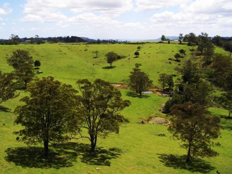 2232 Beechmont Road, Beechmont QLD 4211