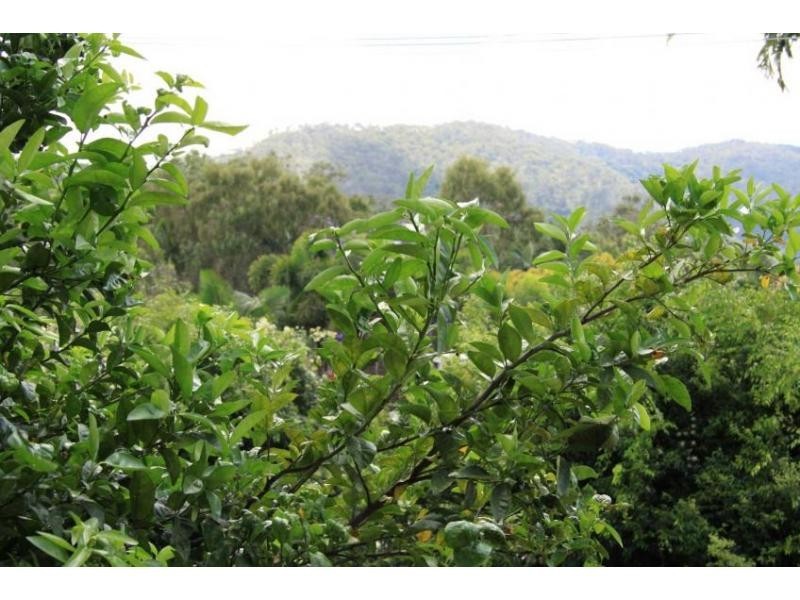 Cnr Murphy & Boyd Street, Frenchville QLD 4701