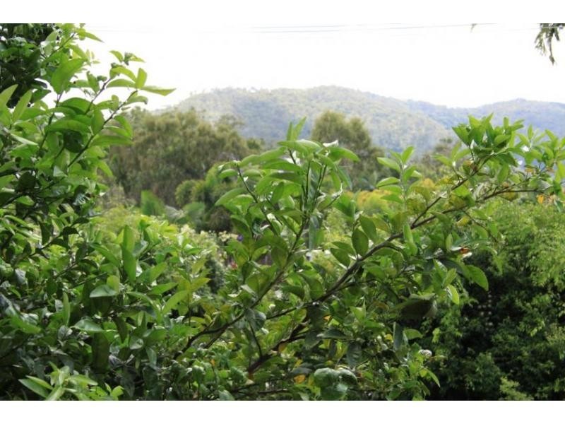 Frenchville QLD 4701