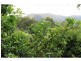 256 Boyd Street, Frenchville QLD 4701