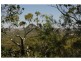 128 Mt Wheeler Road, Bondoola QLD 4703