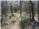 128 Mt Wheeler Road, Bondoola QLD 4703