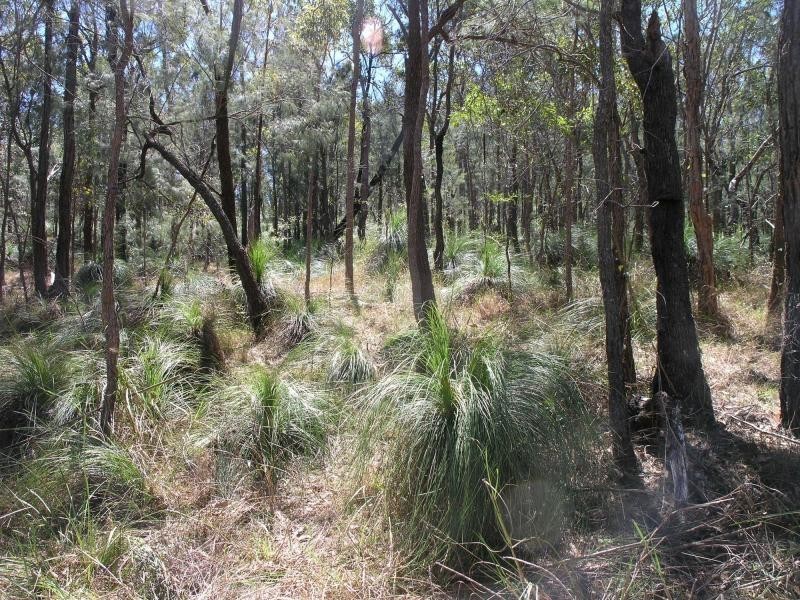128 Mt Wheeler Road, Bondoola QLD 4703