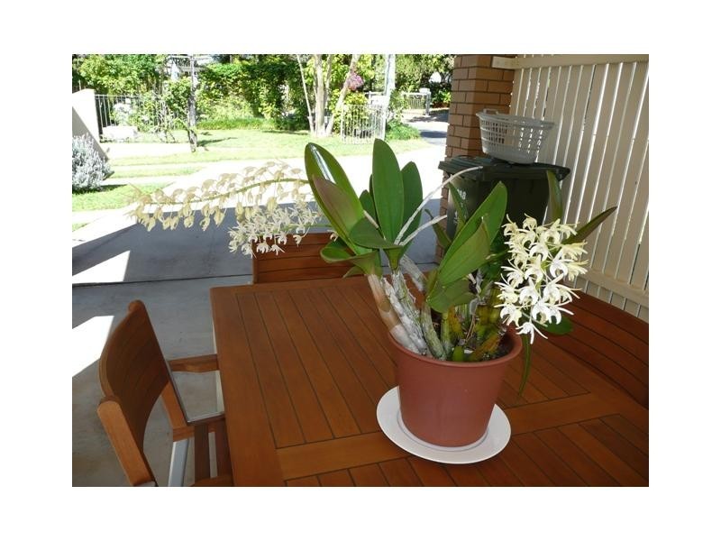 288 Upper Dawson Road, The Range QLD 4700