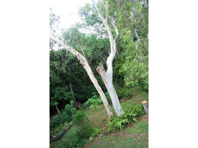 13 Serocold Street, Frenchville QLD 4701