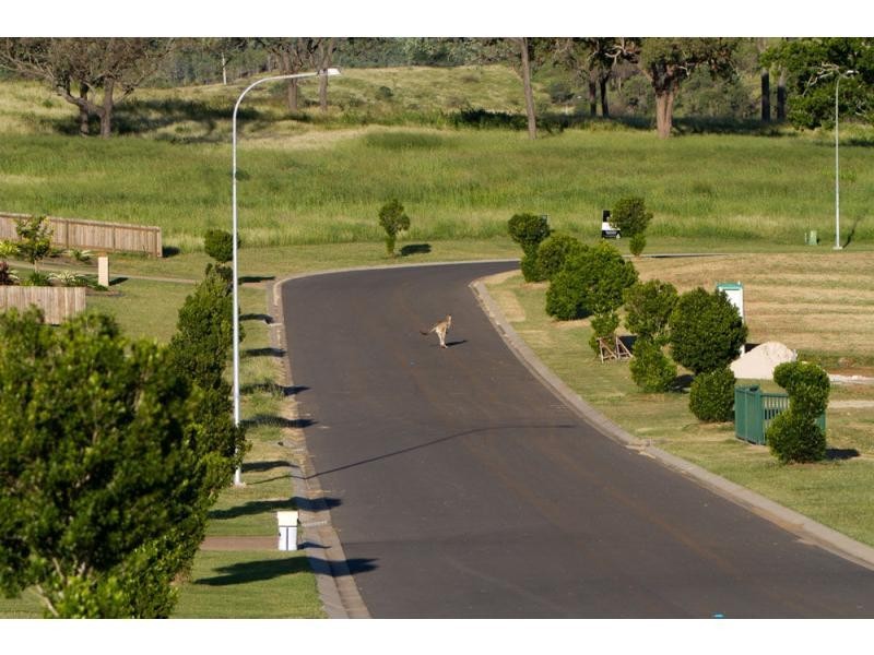 L87 Trinity Avenue, Paramount Park, Rockyview QLD 4701