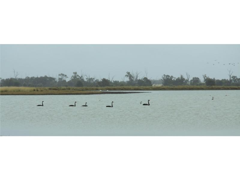 3902 Theodore-Baralaba Road, Moura QLD 4718