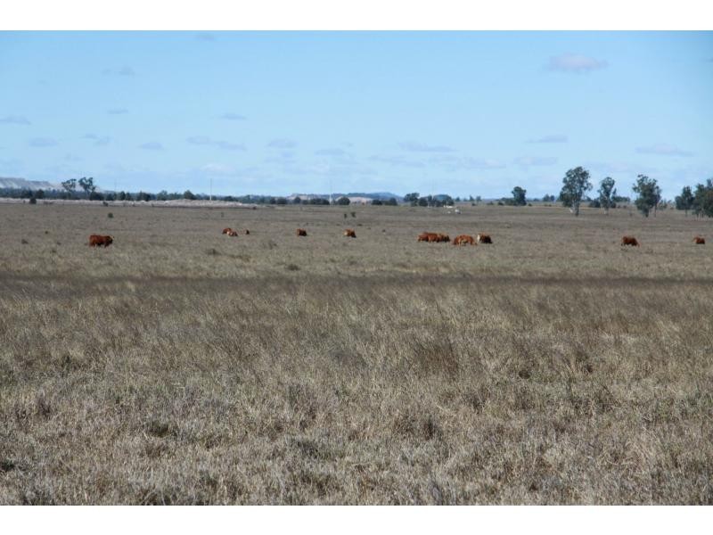 3902 Theodore-Baralaba Road, Moura QLD 4718