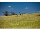 59 Argyle Avenue, Rockyview QLD 4701