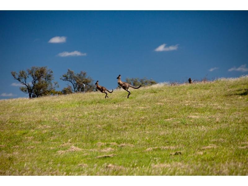 59 Argyle Avenue, Rockyview QLD 4701