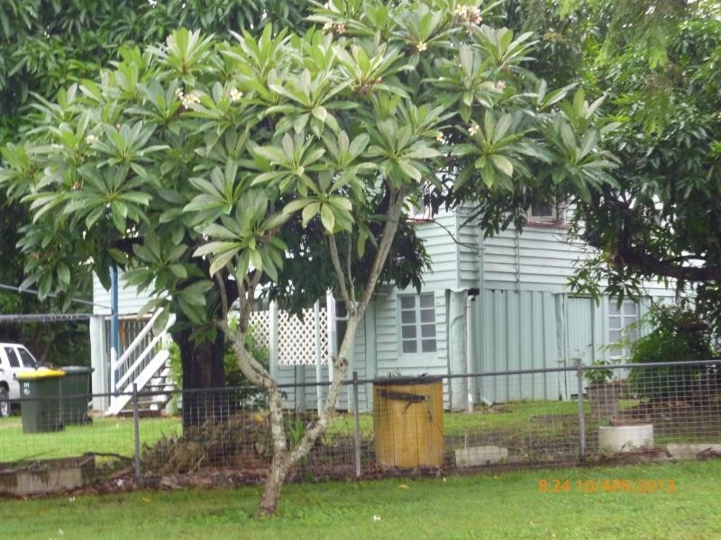 311 Denham Street, The Range QLD 4700