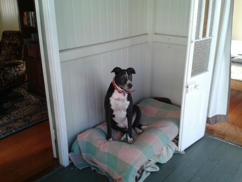 7 Livermore, Wandal QLD 4700