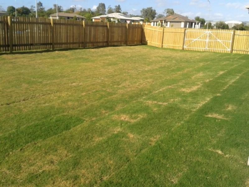 45 Cherryfield Road, Gracemere QLD 4702