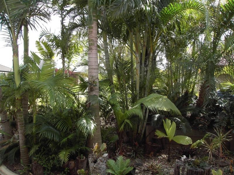 7 Jezebel Place, Kallangur QLD 4503