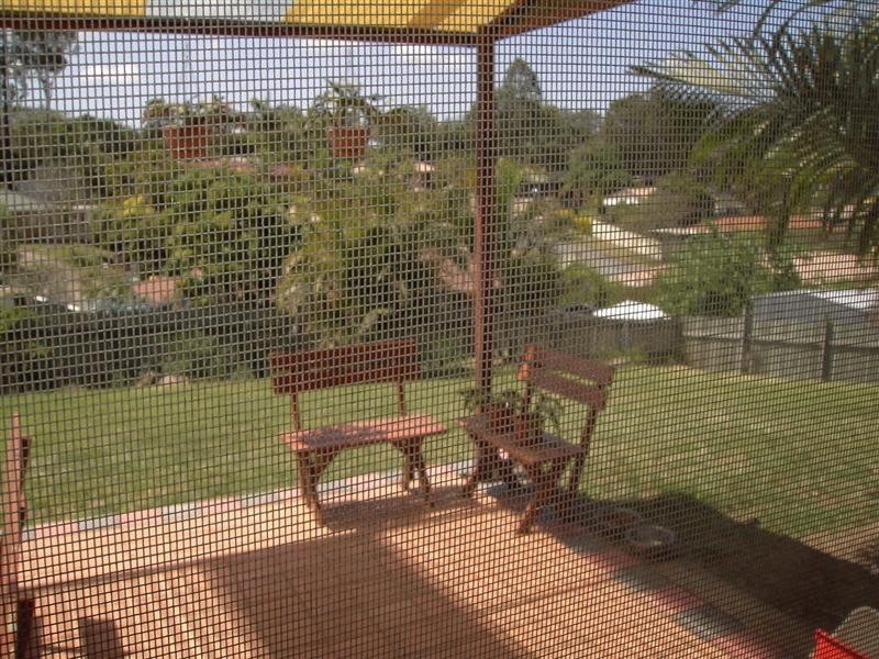 124 Rue Montaigne, Petrie QLD 4502