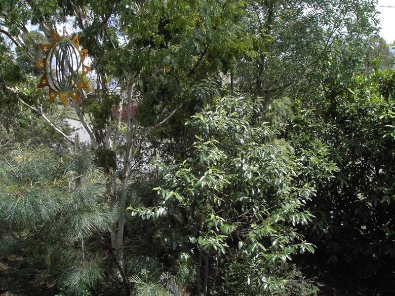 18 Jakari Court, Strathpine QLD 4500