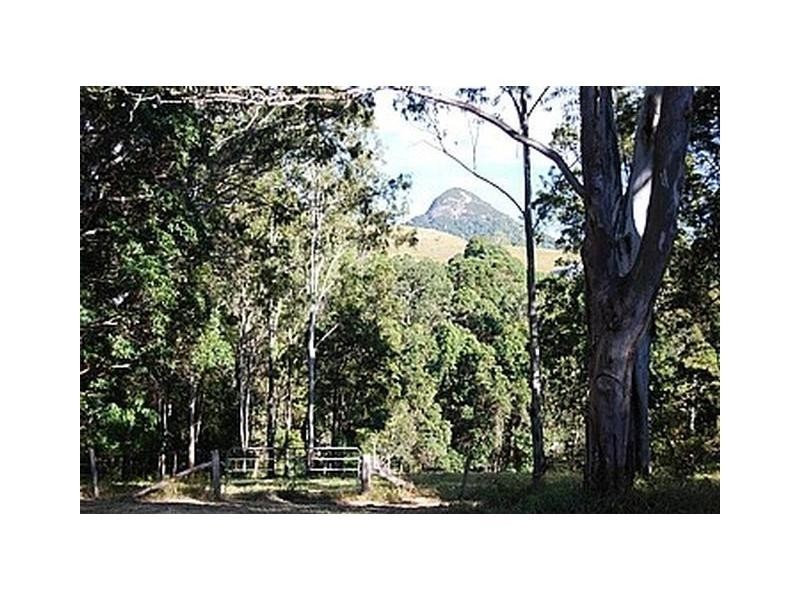 Doonan QLD 4562