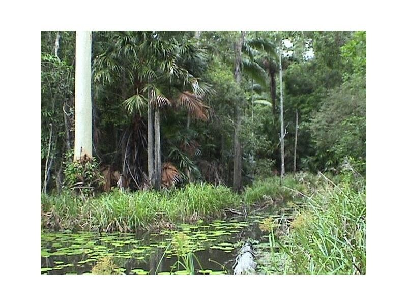 Doonan QLD 4562