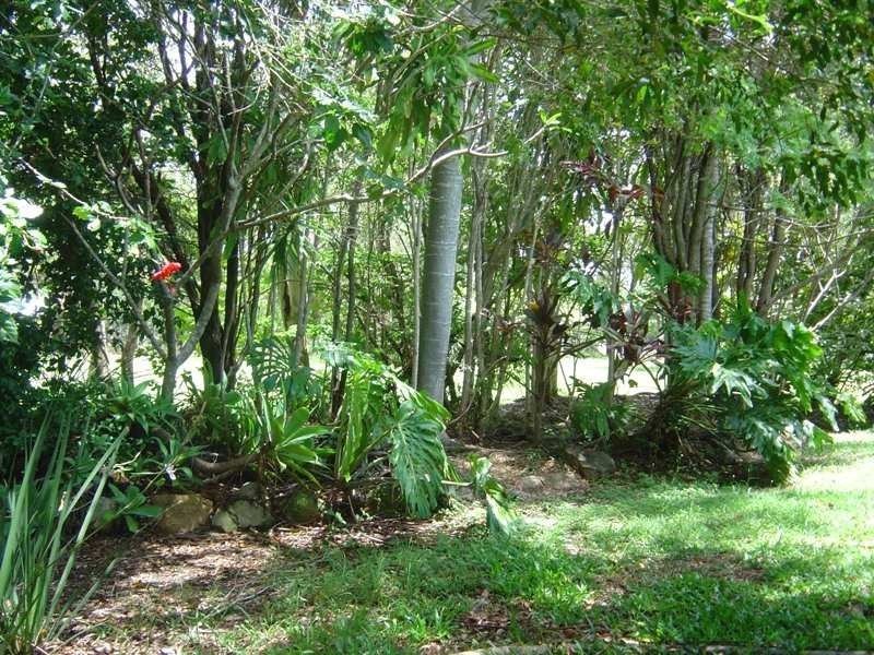 321 Hauton Road, Burpengary QLD 4505