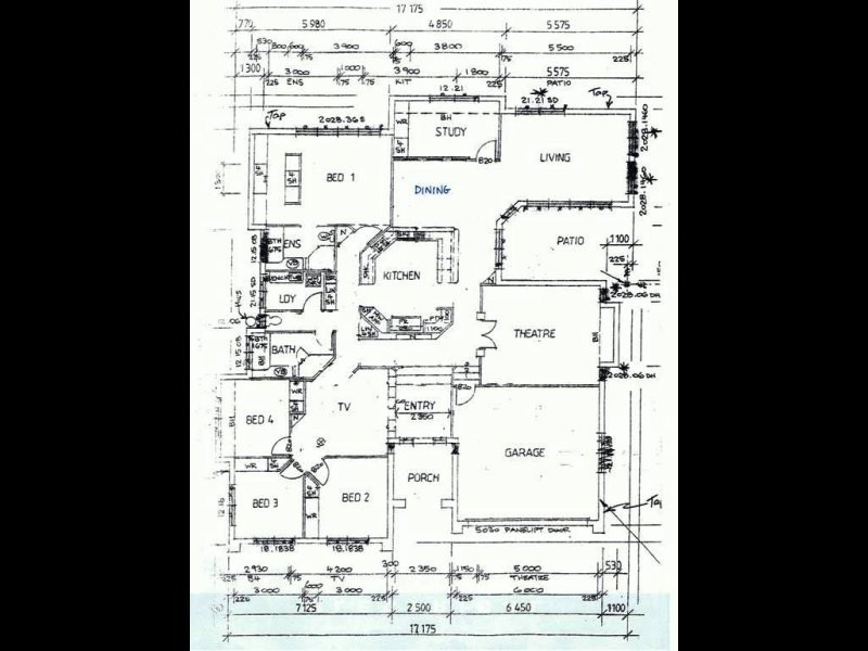 8 Venus Court, Mango Hill QLD 4509