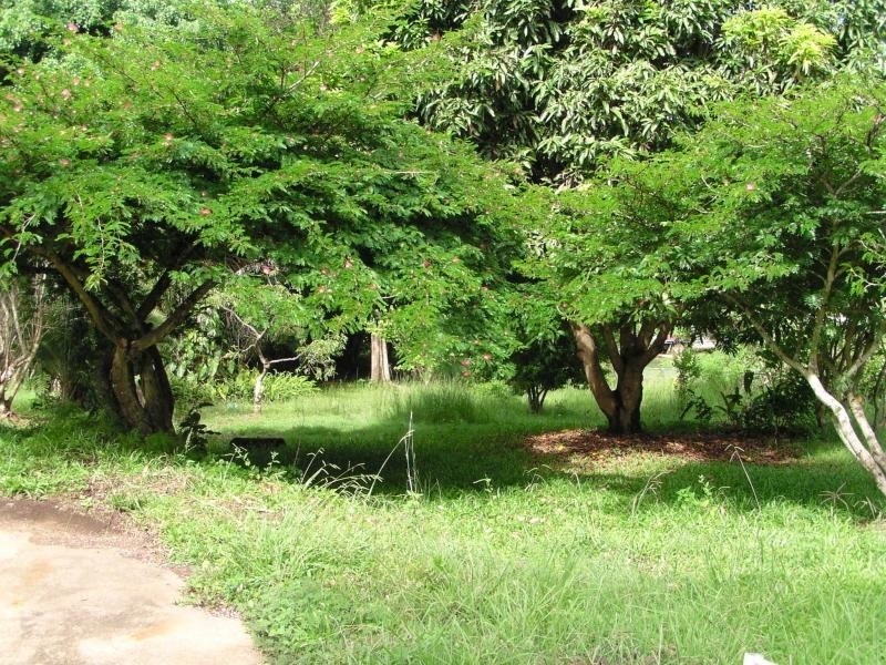 22 Pine Avenue, Lamb Island QLD 4184